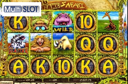 Big Game Safari